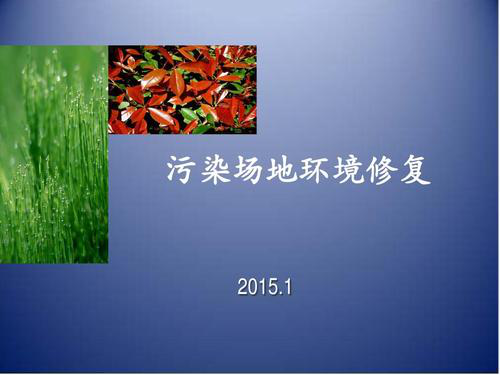 污染場(chǎng)地調查報告
