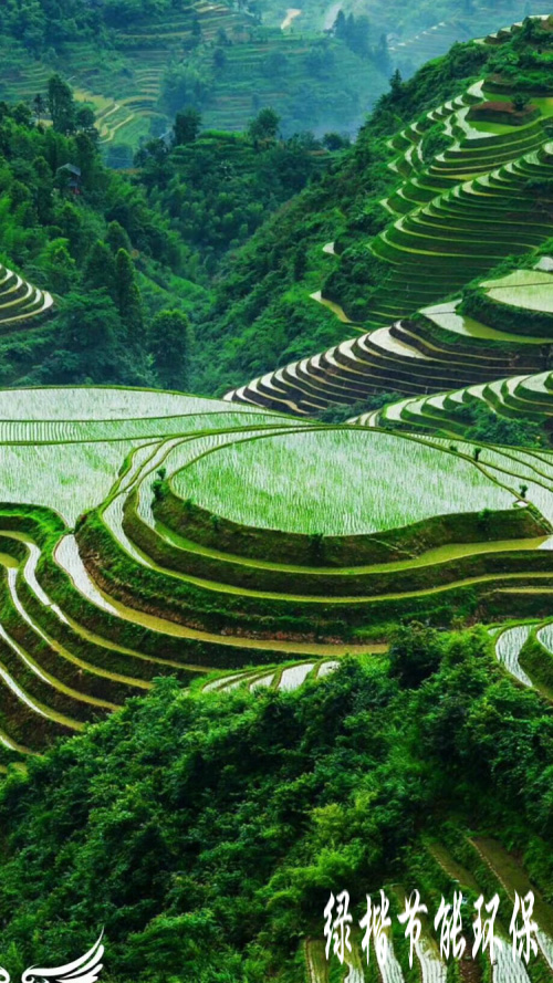 生態(tài)和環(huán)境規劃、可行性研究報告