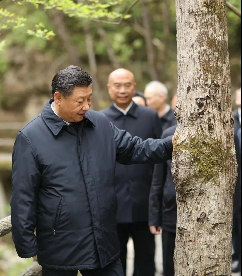 湖南綠楷節能環(huán)?？萍加邢薰?湖南土壤污染修復,污水處理工程,農業(yè)污染治理,環(huán)保工程