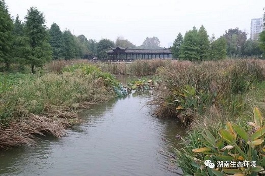 湖南綠楷節能環(huán)?？萍加邢薰?湖南土壤污染修復,污水處理工程,農業(yè)污染治理,環(huán)保工程
